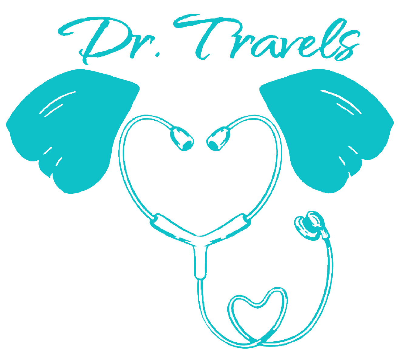 Dr Travels